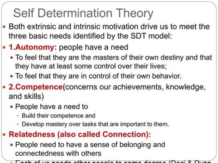 Is the self determination theory?